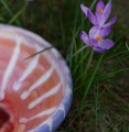 DSC02865.JPG