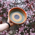 Ceramiczny talerz z piegowatej gliny w kolorowe kółka.JPG