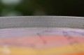 DSC03088.JPG