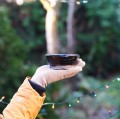 DSC03735.JPG