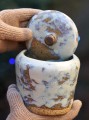 DSC03789.JPG