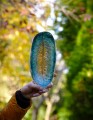 DSC03513.JPG
