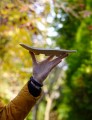 DSC03514.JPG