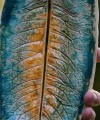 DSC03515.JPG