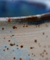 DSC04111.JPG