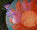 DSC02860.JPG