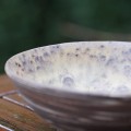 DSC02753.JPG