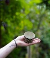 DSC03387.JPG