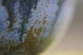 DSC00995.JPG