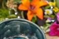DSC01812.JPG