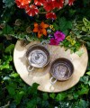 DSC01739.JPG