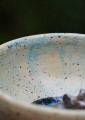 DSC04076.JPG
