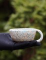 DSC04078.JPG